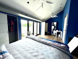 Bedok Road (D16), Terrace #557572361
